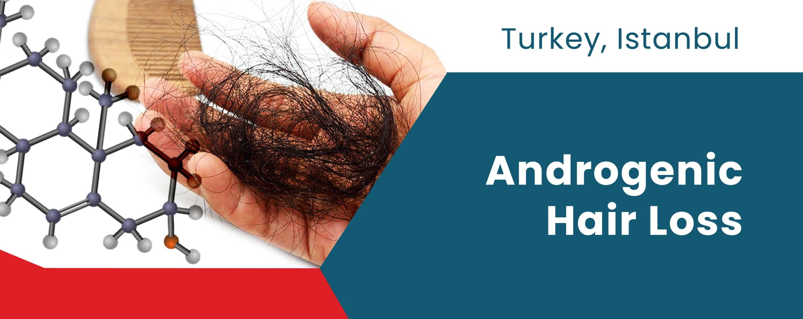 Androgenic Hair Loss | ClinMedica